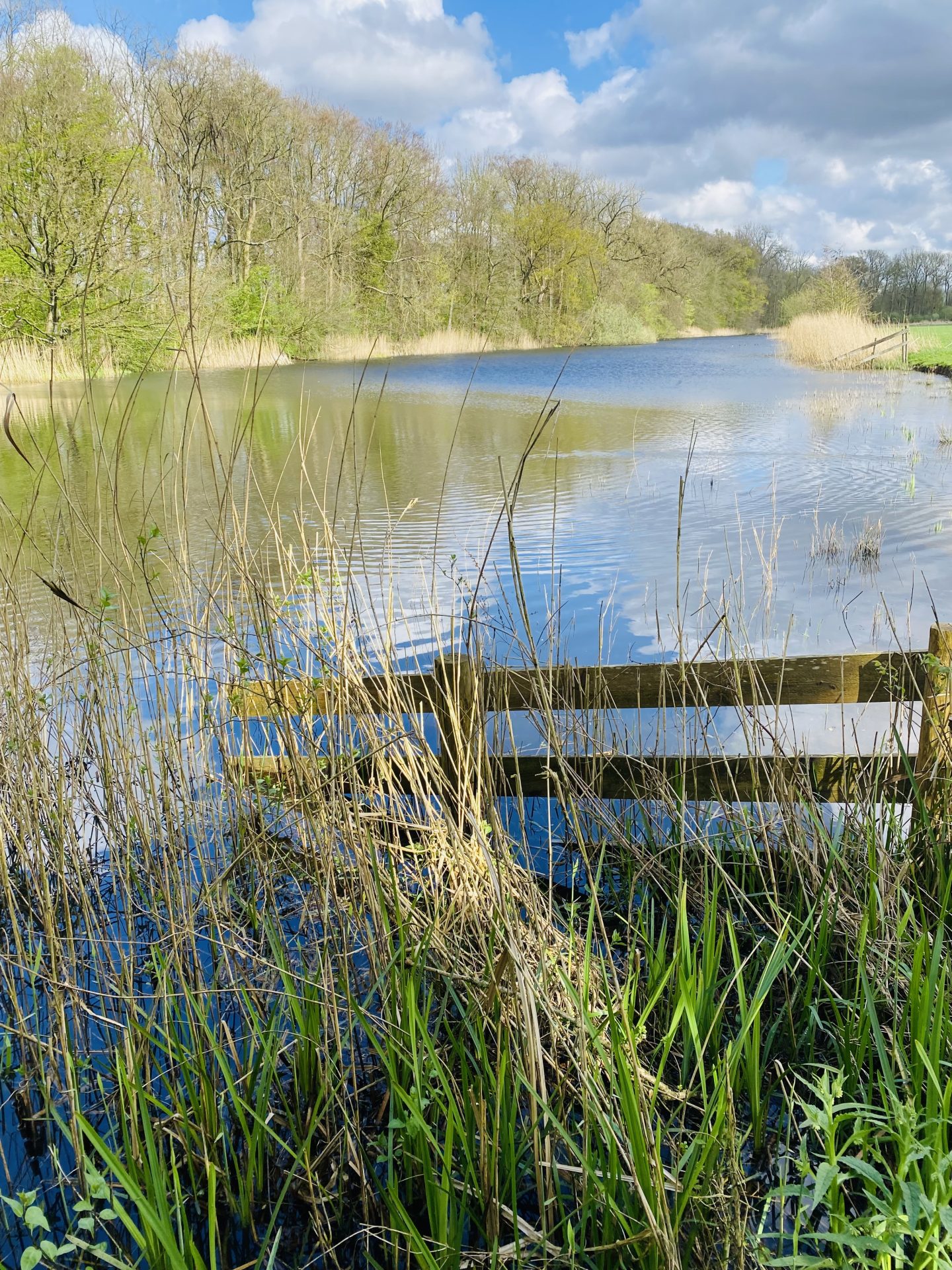 Business walk & talk voor ondernemers